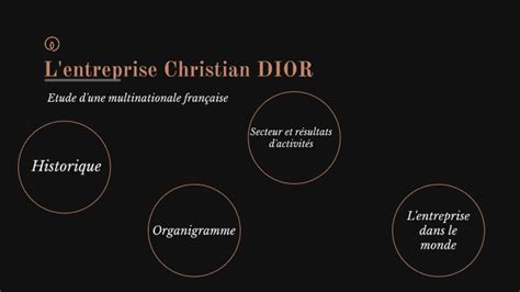 taille de l'entreprise dior|christian dior indices.